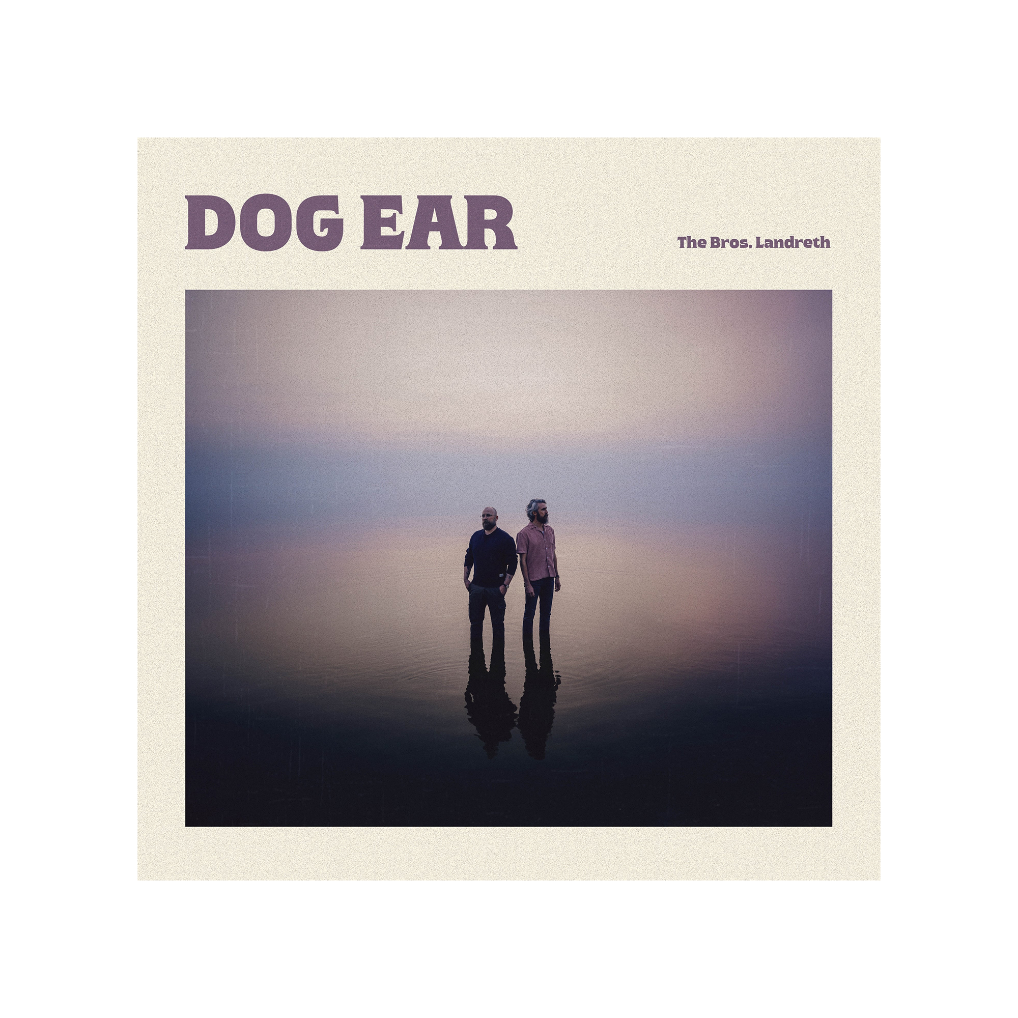 Dog Ear